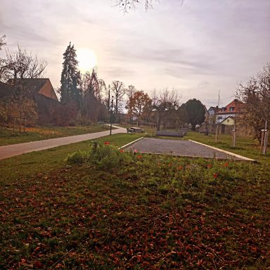 Herbstliche Landschaft mit Weg, Bäumen und Sonnenuntergangshorizont.