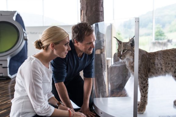 Zwei Personen stehen vor einem Glas, hinter dem ein Luchs sitzt.