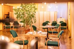 Gemütliches Restaurant mit Tischen, Stühlen und einer großen Pflanze im Hintergrund.