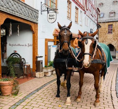 Zwei Pferde stehen vor einem historischen Gebäude in einer malerischen Straße.