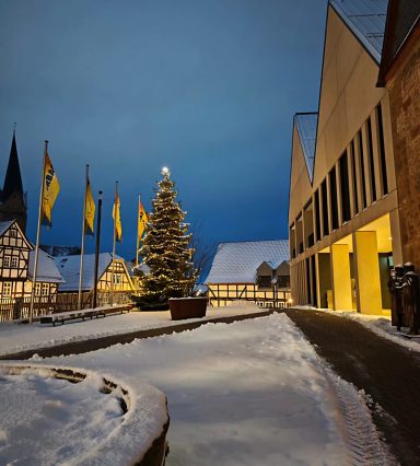 Weihnachtlich dekorierter Platz mit einem Baum, Schnee und historischen Gebäuden.
