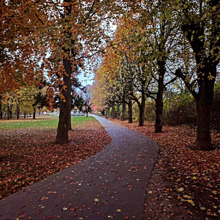 Herbstlicher Parkweg mit bunten Blättern und Bäumen entlang des Weges.