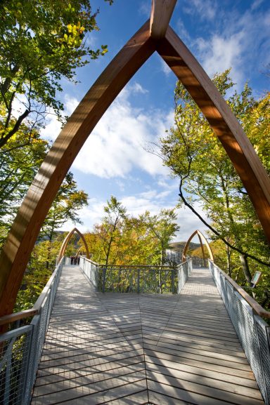 Holzbrücke mit gewölbtem Dach, umgeben von Bäumen und blauem Himmel.