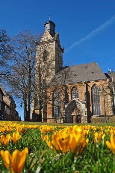 Blühende gelbe Blumen vor einer Kirche an einem klaren, blauen Himmel.