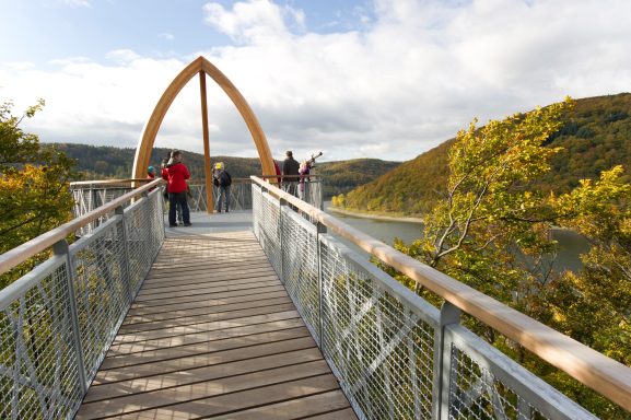 Holzbrücke mit Aussicht auf eine Landschaft, umgeben von Bäumen und Wolken.