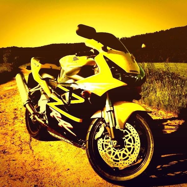 Gelbe Sportmotorrad auf einer schmalen Landstraße in einer natürlichen Umgebung.