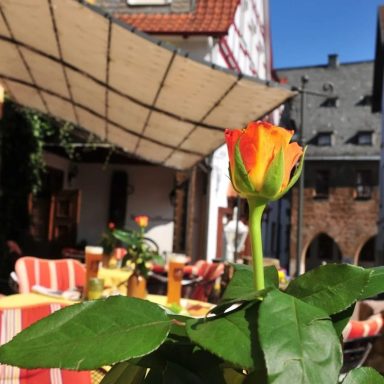 Orange-rot Rose vor einem gemütlichen Café mit Sonnenschirm und Getränken im Hintergrund.
