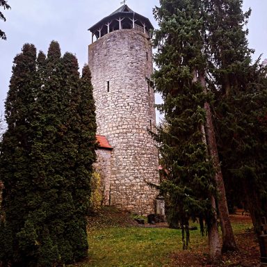Steinerner Aussichtsturm umgeben von hohen Bäumen und grünem Rasen.