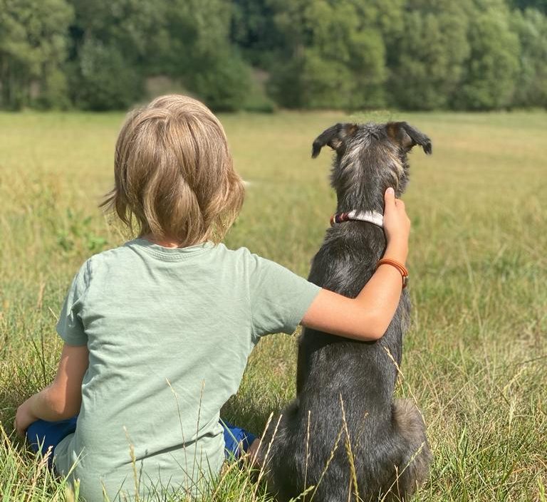 Ein Kind sitzt im Gras und streichelt einen Hund, beide blicken in die Natur.